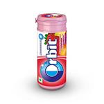 ORBIT MIXED FRUIT CHEWING GUM 22g
